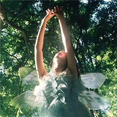 科拉多 西拉的到来